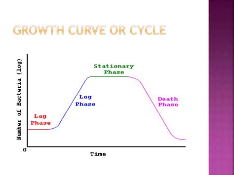 Bacterial growth curves | PPTX
