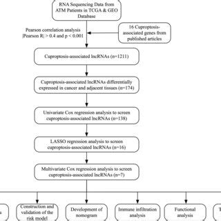Flowchart TCGA 的图像结果