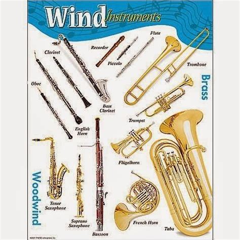 Image result for All Types of Wind Instruments