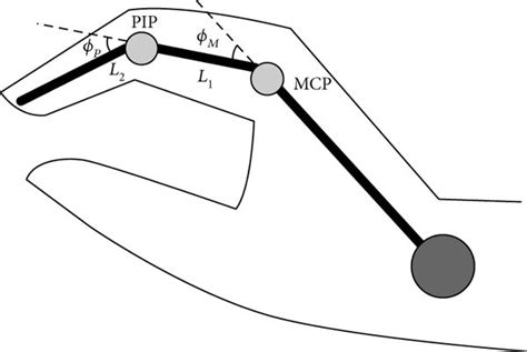 Image result for Finger Joint Tutorial