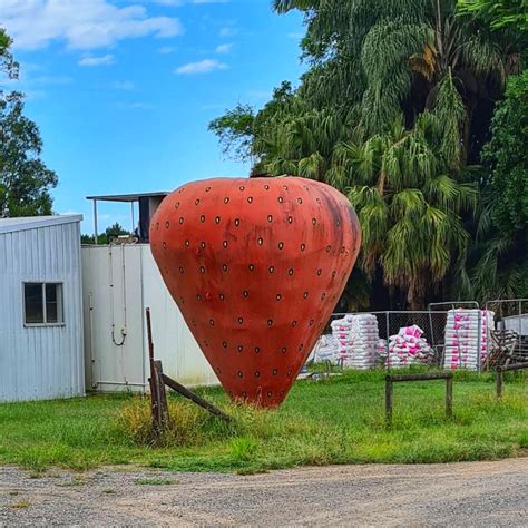 The Big Strawberry, Elimbah, QLD - Land of the Bigs