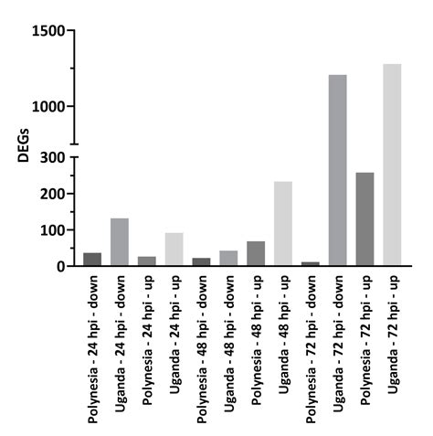 Impact of Zika Virus Infection on Human Neural Stem Cell MicroRNA ...