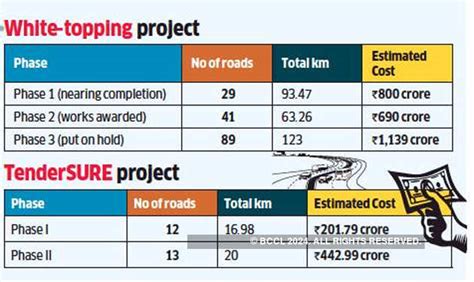 White-topping, tenderSURE works to be probed - The Economic Times