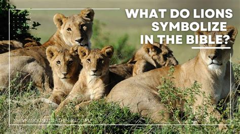 Lions In The Bible: Symbolism, References, & Meaning | Think About Such ...
