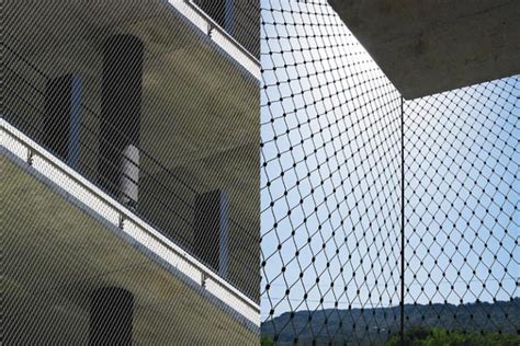 WebNet 的图像结果