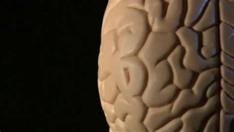 Intelligence 的图像结果