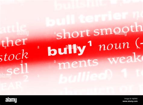 Image result for Bully Code Meaning