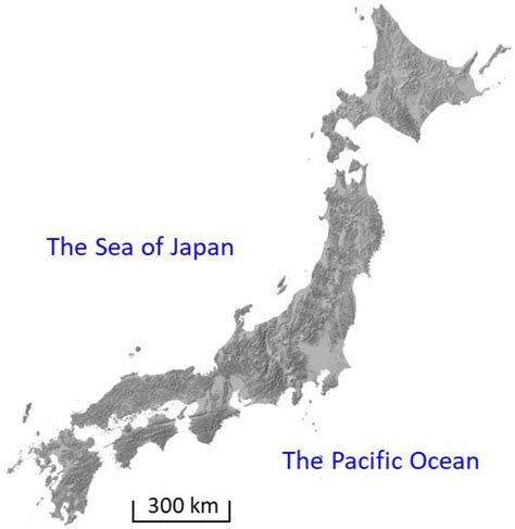 Application of Running Water-Type Retarding Basin to Old Kinu River Floodplain, Japan