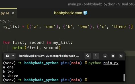 Iterate Over Tuple in Python 的图像结果
