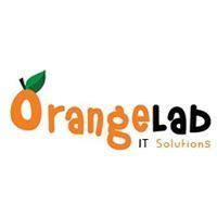 Orangelab IT Solutions India Pvt Ltd is a web based company which ...
