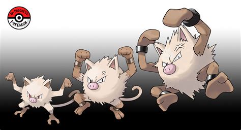 Pokemon Mankey Evolution Chart 的图像结果
