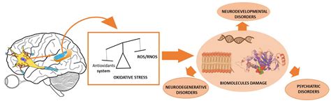From Plants to Psycho-Neurology: Unravelling the Therapeutic Benefits ...