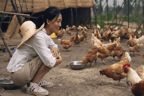 她是清华美女博士，12年前放弃城市百万年薪回乡种地，现在怎样？_石嫣_生活_工作