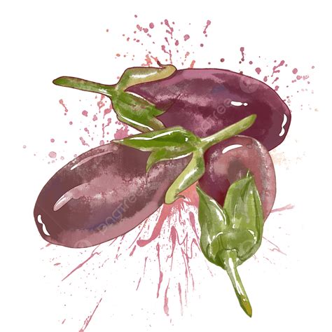 Eggplant Watercolor, Vegetables, Fruits And Vegetables, Splash PNG ...