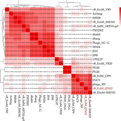 Image result for Anemai Algorithm