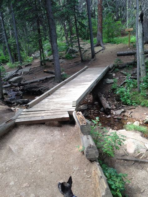 Maxwell Falls Hike | Nicole Wilker