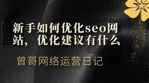 新手如何优化seo网站，优化建议有什么 - 哔哩哔哩