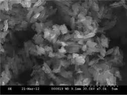 SEM images of the as-synthesized product using a [Ni(en)2]SO4 (sample ...