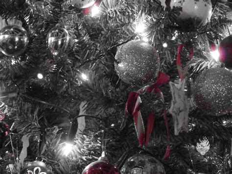 Christmas tree at night | Premium Photo