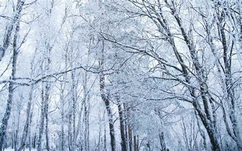 OIP.tnhtR_Hasv4EzEv1say-pwHaEo