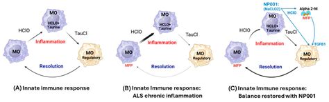 Systemic Innate Immune System Restoration as a Therapeutic Approach for ...