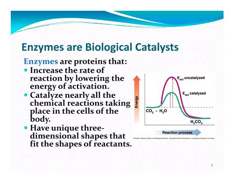 Enzymes | PDF