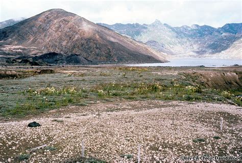 Image result for Pyroclastic Flow Science