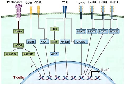 Pathogens | An Open Access Journal from MDPI