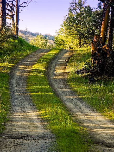 Country Roads 的图像结果
