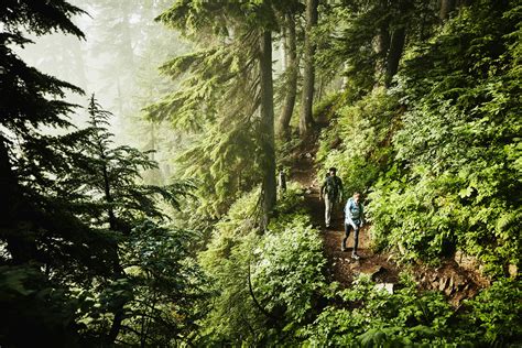 The best hikes near New York City - Lonely Planet