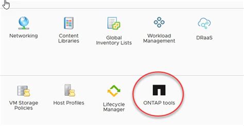 NetApp VMware Plugin 的图像结果