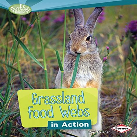 Grassland Food Webs in Action (Audio Download): Paul Fleisher ...