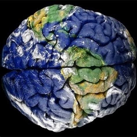 ScienceMagazine Fig 的图像结果