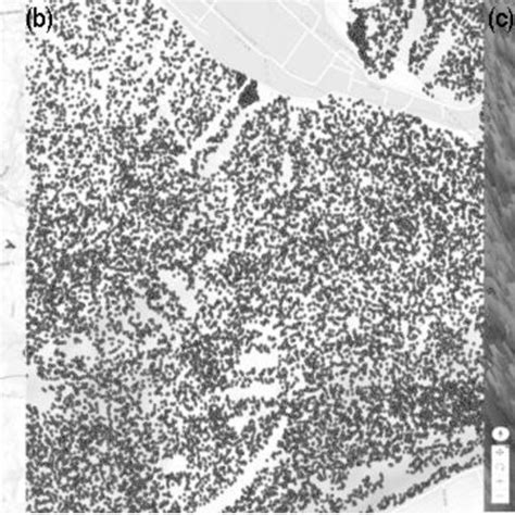 Local Scale Map 的图像结果