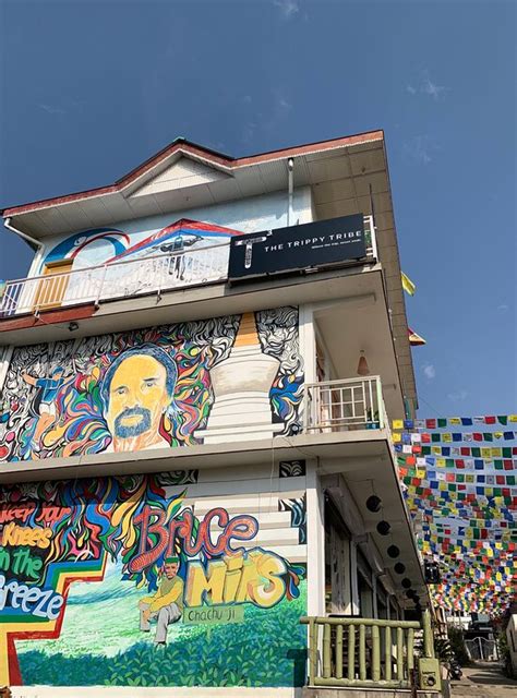 THE TRIPPY TRIBE (Bir, Himachal Pradesh) - Hostel Reviews, Photos, Rate ...