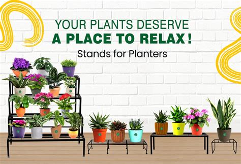 Plants, Pots, Tools & Accessories - Online Garden Store | Urban Plant