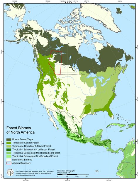 Forest Biomes of North America [2445 × 3195] : r/MapPorn