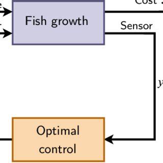 Optimization and Optimal Control 的图像结果
