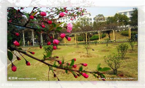 湘潭大学校园风景,大学校园风景,大学校园风景(第8页)_大山谷图库