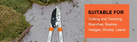 Vimal Compound Action Anvil Lopper, 2 Inch Clean Cut Capacity Branch ...