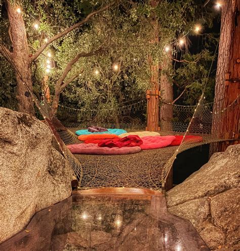 Image result for How to Bilde a Tree Nete