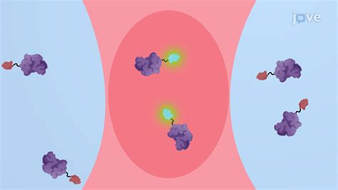 Cell Fluorescence 的图像结果