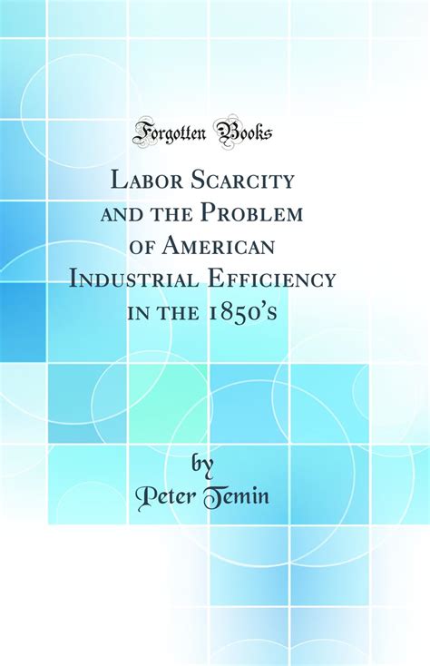 Buy Labor Scarcity and the Problem of American Industrial Efficiency in ...