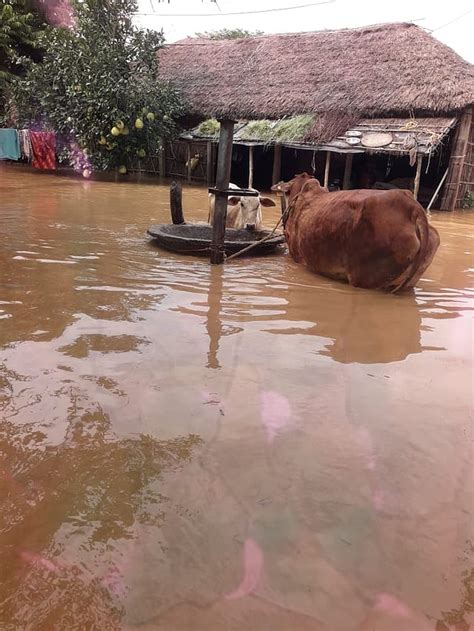 Bihar Floods Worsen: Kosi, Bagmati, and Gandak Rivers Breach ...