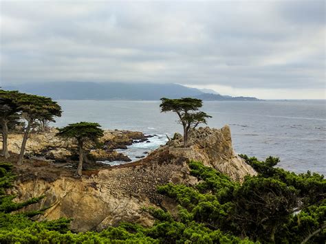 A guide to 17 mile drive, Monterey in pictures (with maps)