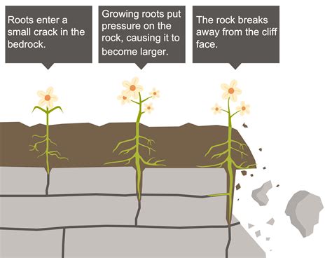 Chemical Weathering Examples For Kids