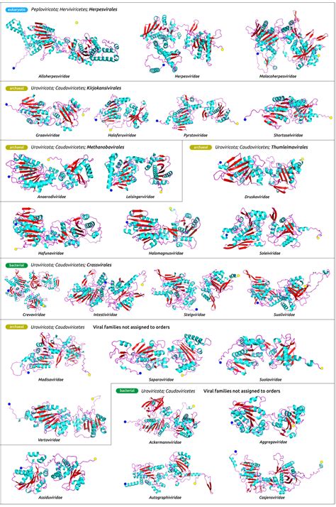 Use of an Integrated Approach Involving AlphaFold Predictions for the ...