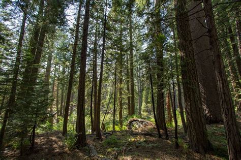 Camping Gerle Creek — Whole Widen World