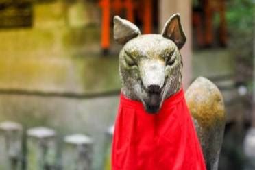 +inuria 的图像结果