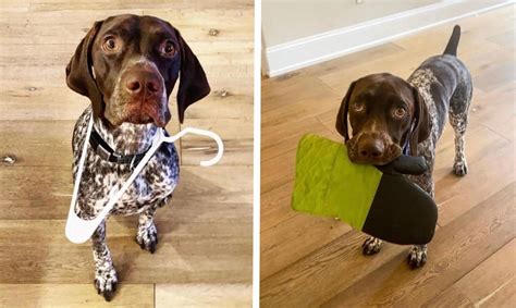 True Representation of World Map 的图像结果